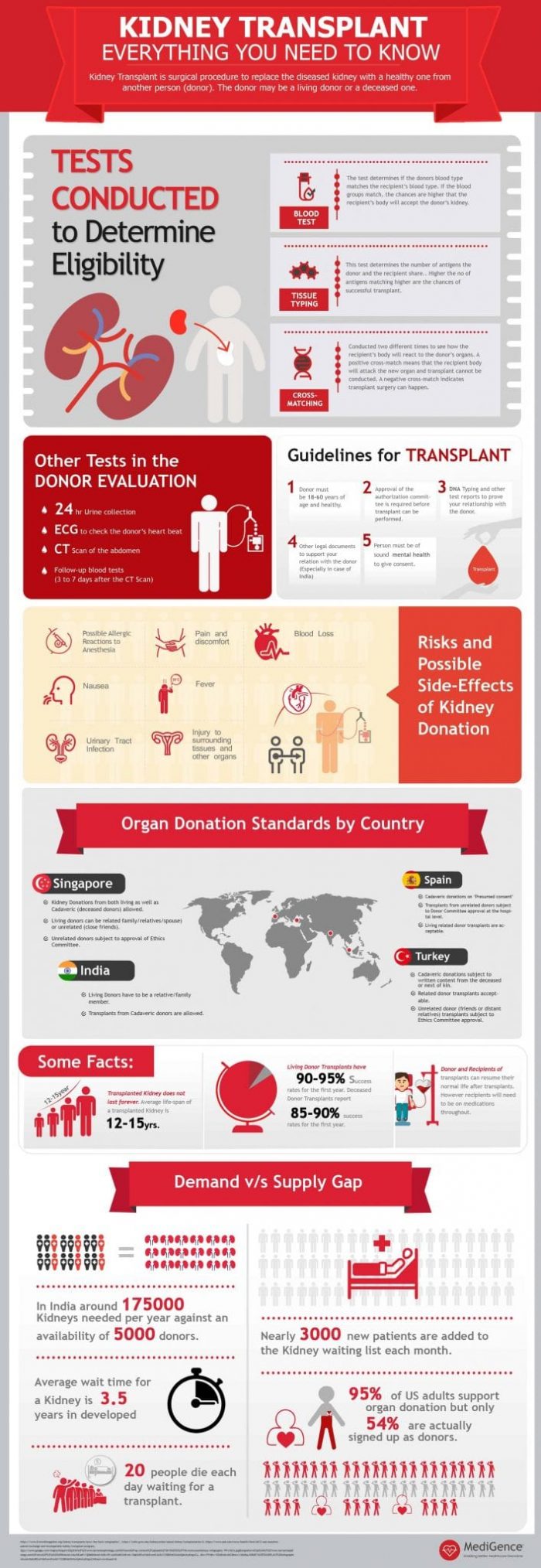 Kidney Transplant : Everything You Need To Know - Infographic Website