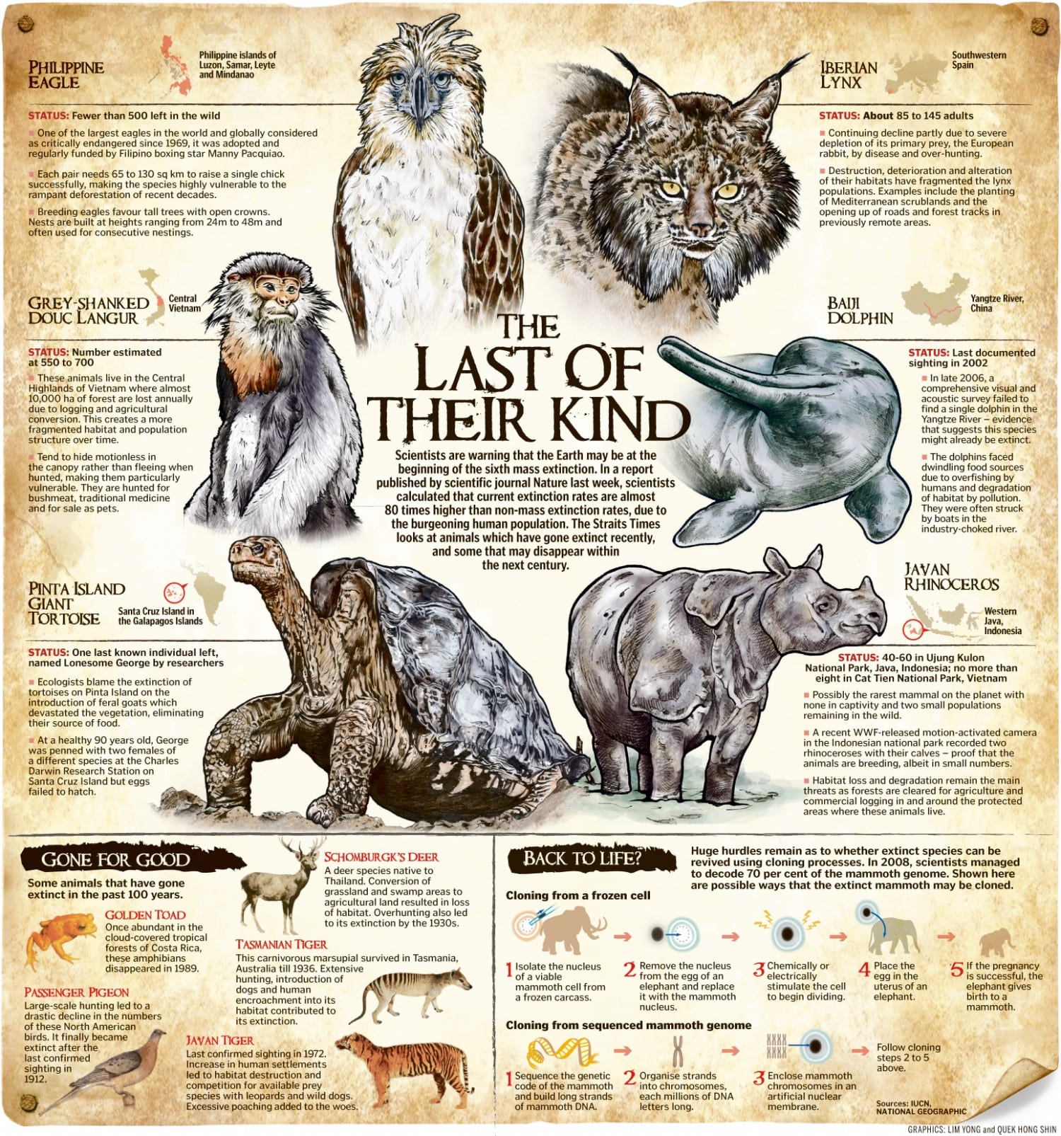 extinction-rates-among-animals-infographic-website