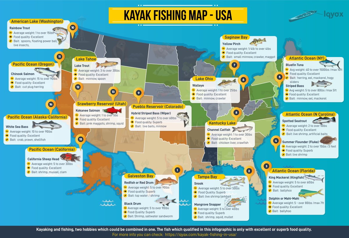 Kayak Fishing In The Usa Infographic Website