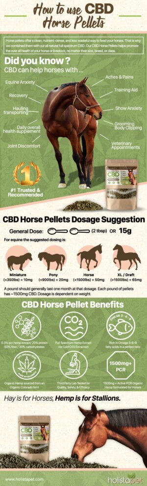 How to use CBD horse pellets with your horse