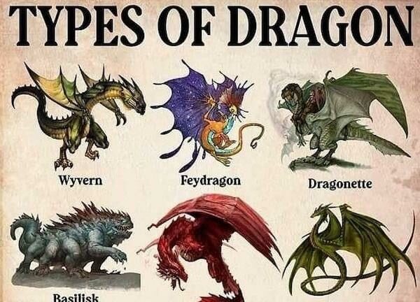 Day Of Dragons Dragon Types Day Of Dragons Dragon Types