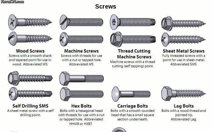 Screws And Bolts Types Essential Varieties Explained Infographic Website